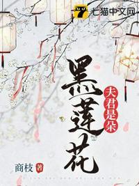 总裁的契约情人第三条