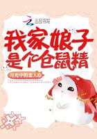 神级透视小保安