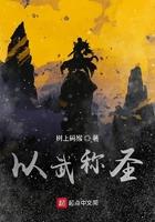 极天之主免费完整版