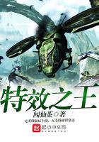 二次元世界书TXT全集