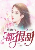 大夏国九皇子秦贵妃